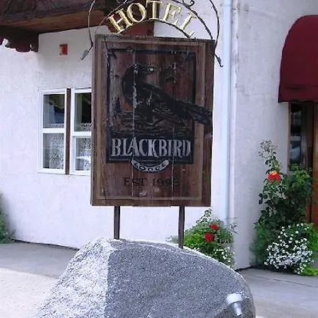 The Blackbird Lodge-2